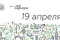 866be184700ff03631542f5614b456d0_800x450