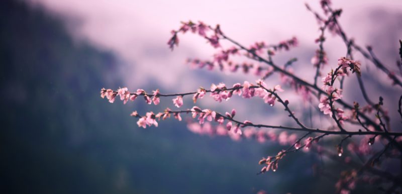 nikhil-kumar-231465-unsplash