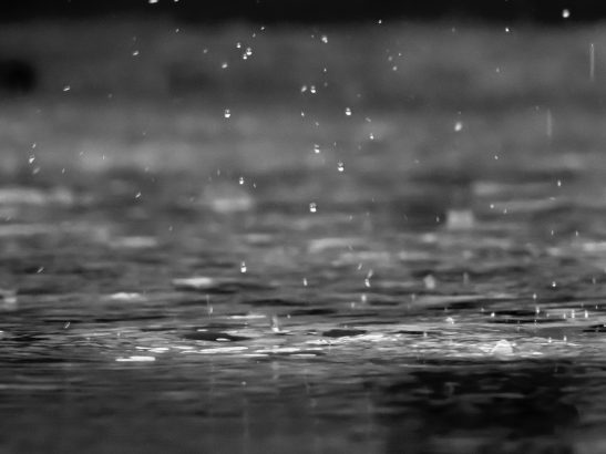 reza-shayestehpour-14238-unsplash