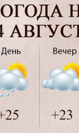 3a3f68c63d00cf1f45e337a1960a0baf_800x450