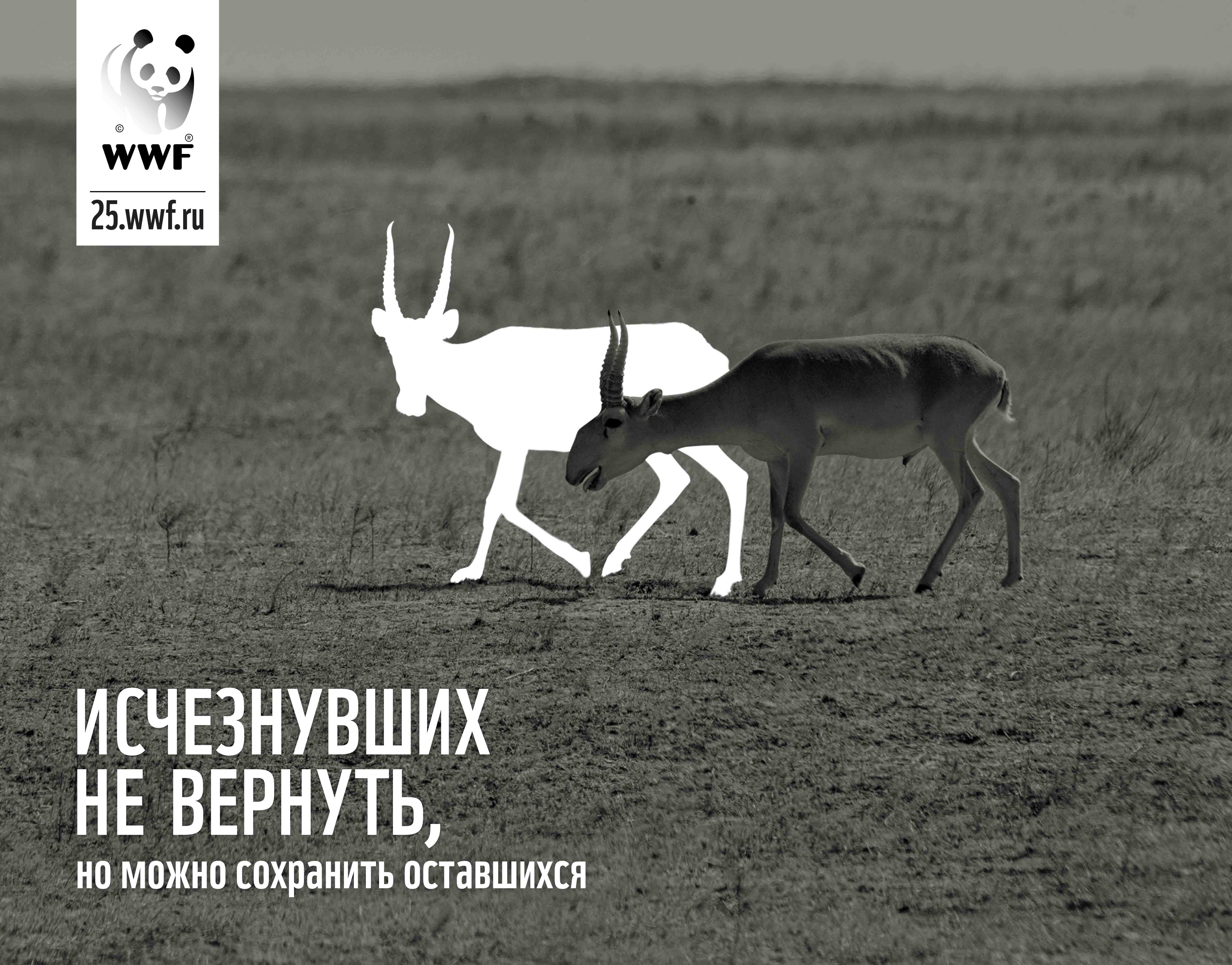 Реклама WWF В России