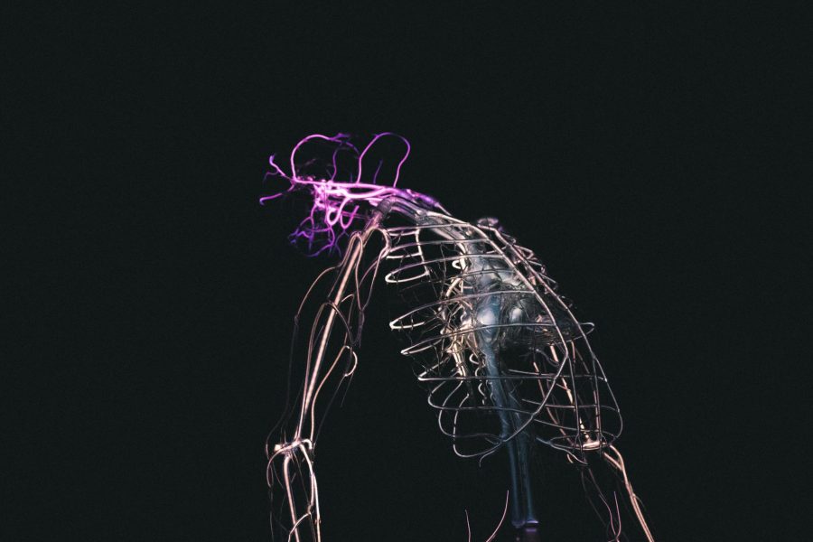 federico-lancellotti-D5HLtyfphrE-unsplash
