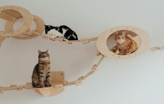 pexels-arina-krasnikova-7726315