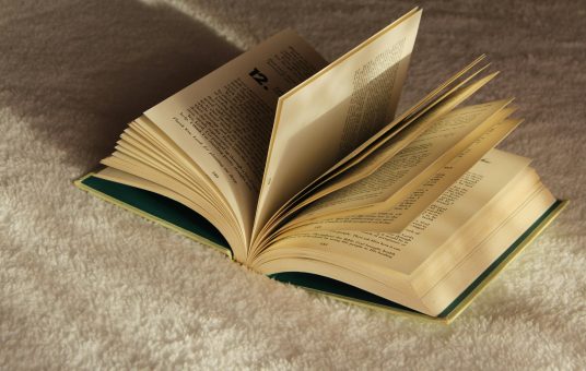 pexels-mundointelectual1998-8594539