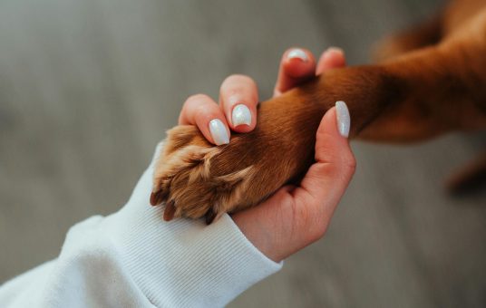 pexels-babydov-7788657