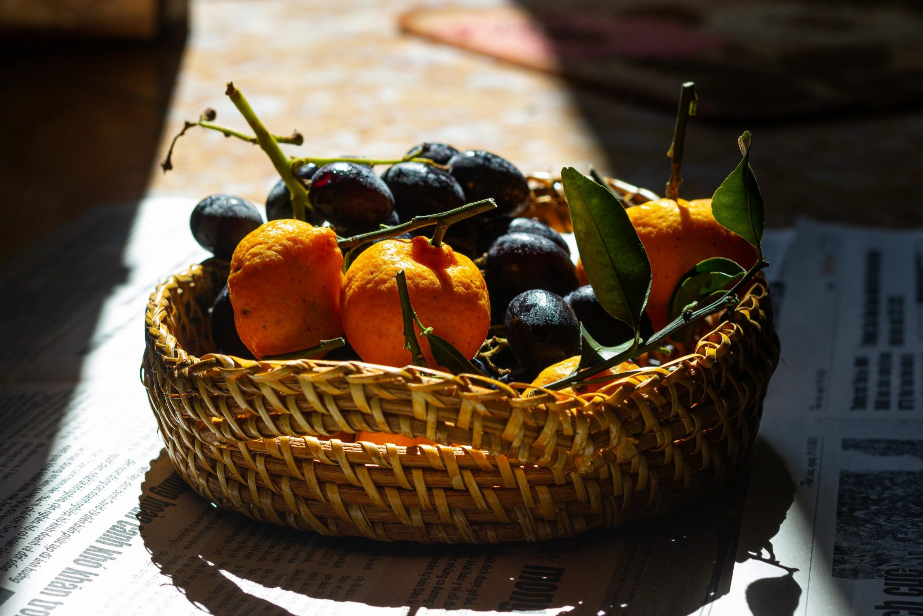 pexels-tieugiang007-34908634