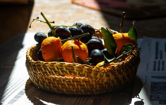 pexels-tieugiang007-34908634