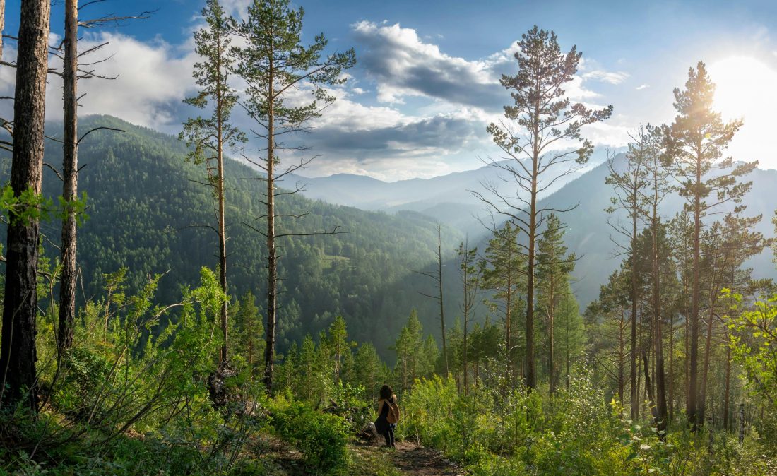 pexels-120531107-28163009