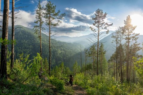 pexels-120531107-28163009