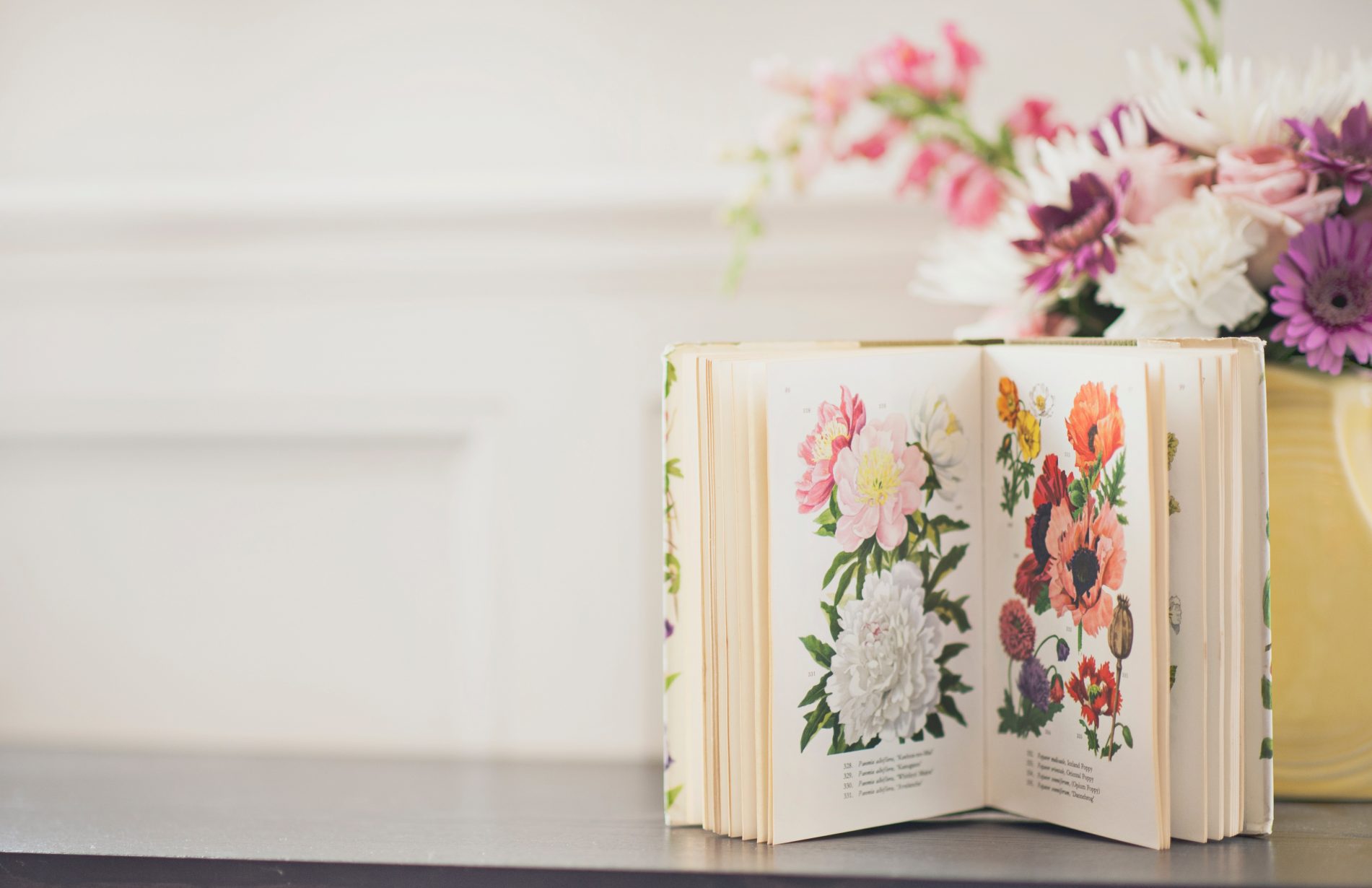 Картинки для обложки книги красивые