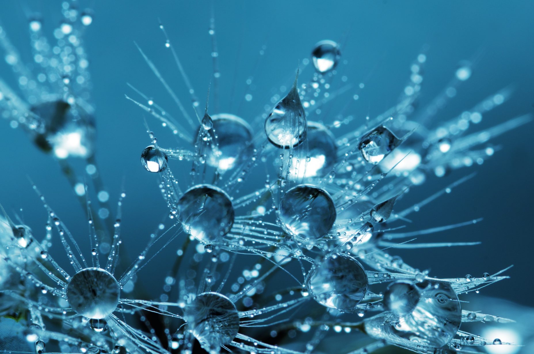 blue-bubble-crystal-clear-132477