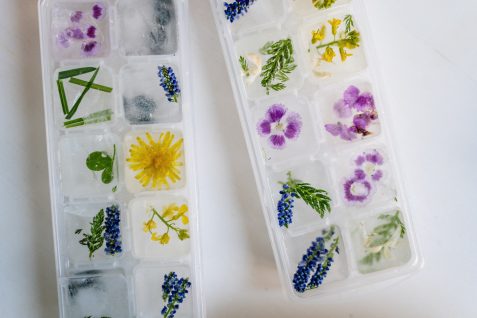 blue-and-white-floral-plastic-tray-4686937