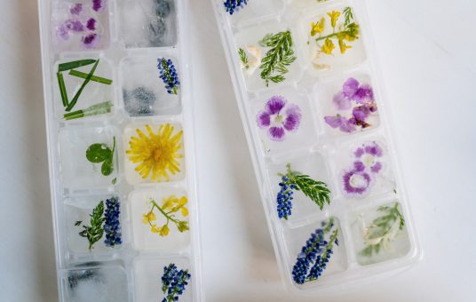 blue-and-white-floral-plastic-tray-4686937