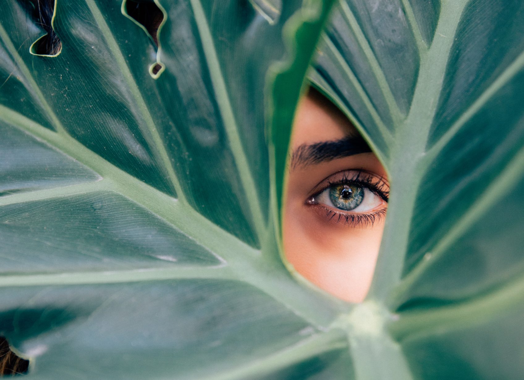 drew-graham-cTKGZJTMJQU-unsplash
